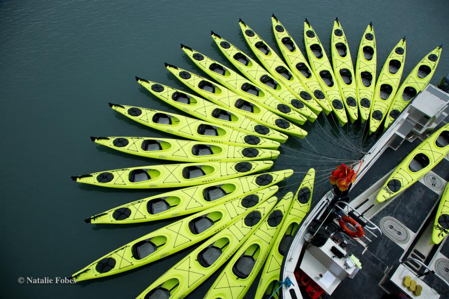 Dozens of bright yellow kayaks arranged in a fan-shaped pattern on the water, all tethered to the side of a docked vessel.