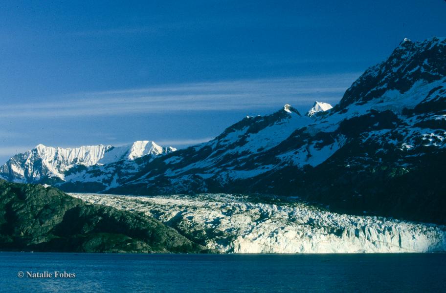 Snow‑covered mountains and a glacier meeting the shoreline, with calm blue water in the foreground and a clear sky above.