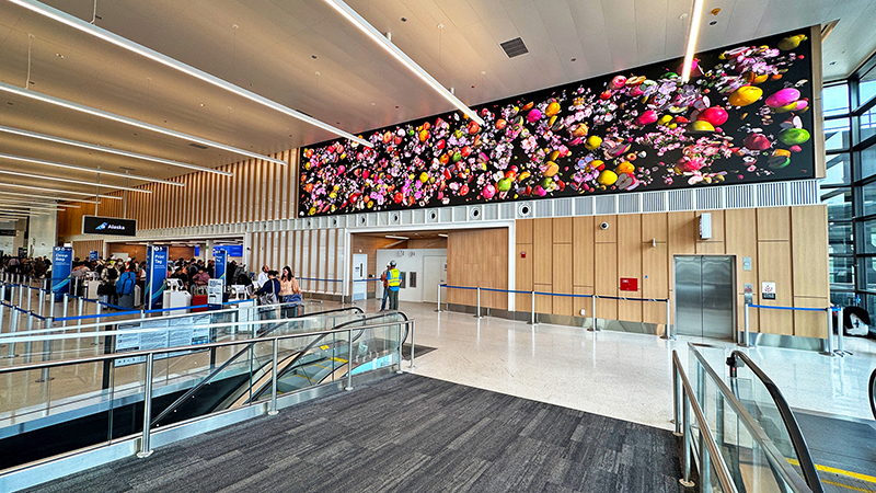 A large digital artwork of colorful blossoms and fruit titled “Cosmic” by Jennifer Steinkamp spans a video wall above the north end of Alaska Airlines Ticketing at SEA Airport, with travelers moving through the bright ticketing area below.