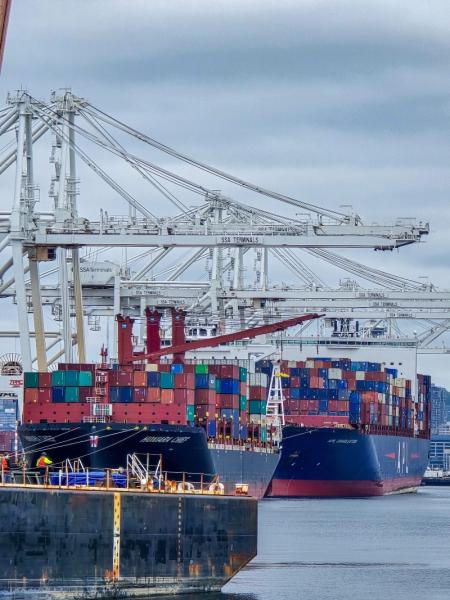 The container ships APL Charleston and Honiara Chief are docked at a port beneath large white cranes.