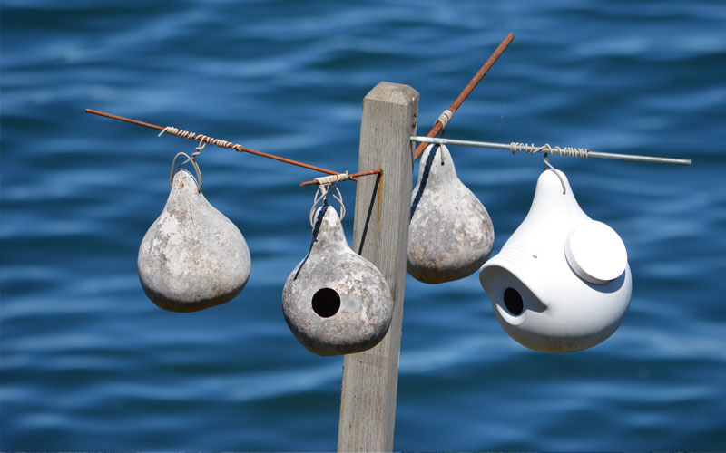 Several gourd‑shaped birdhouses and one smooth white birdhouse hang from horizontal rods attached to a wooden post, with rippling blue water in the background.