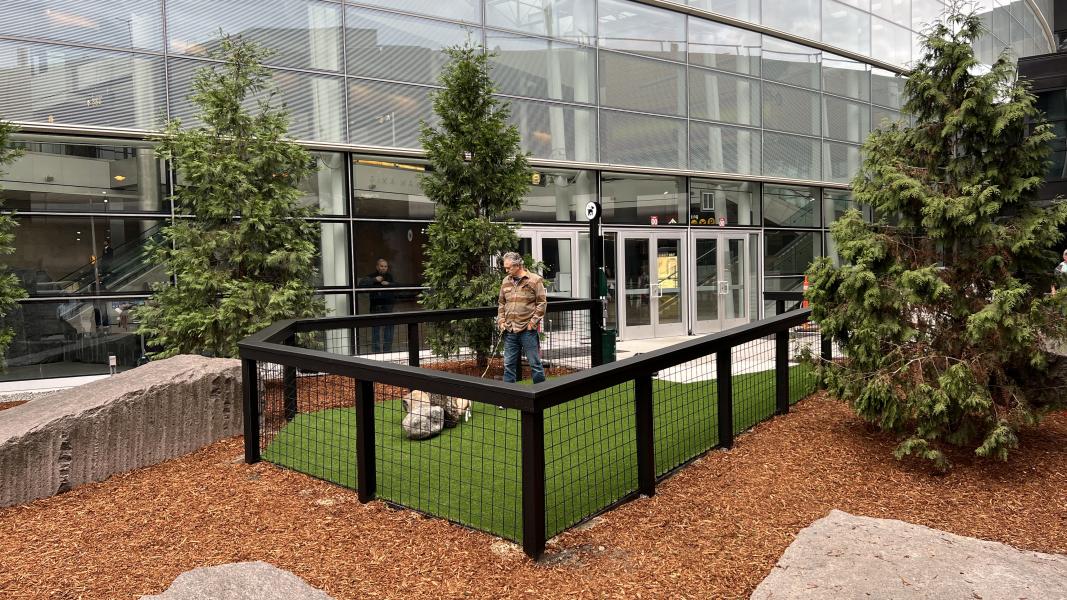 Customer using the pet relief area which is surrounded by trees, rocks, bark, and is located outside the terminal near checkpoint 1.