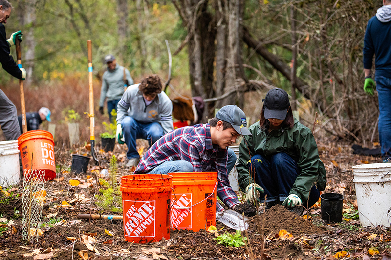 A group of volunteers and Port staff work together to plant vegetation during an outdoor restoration project.