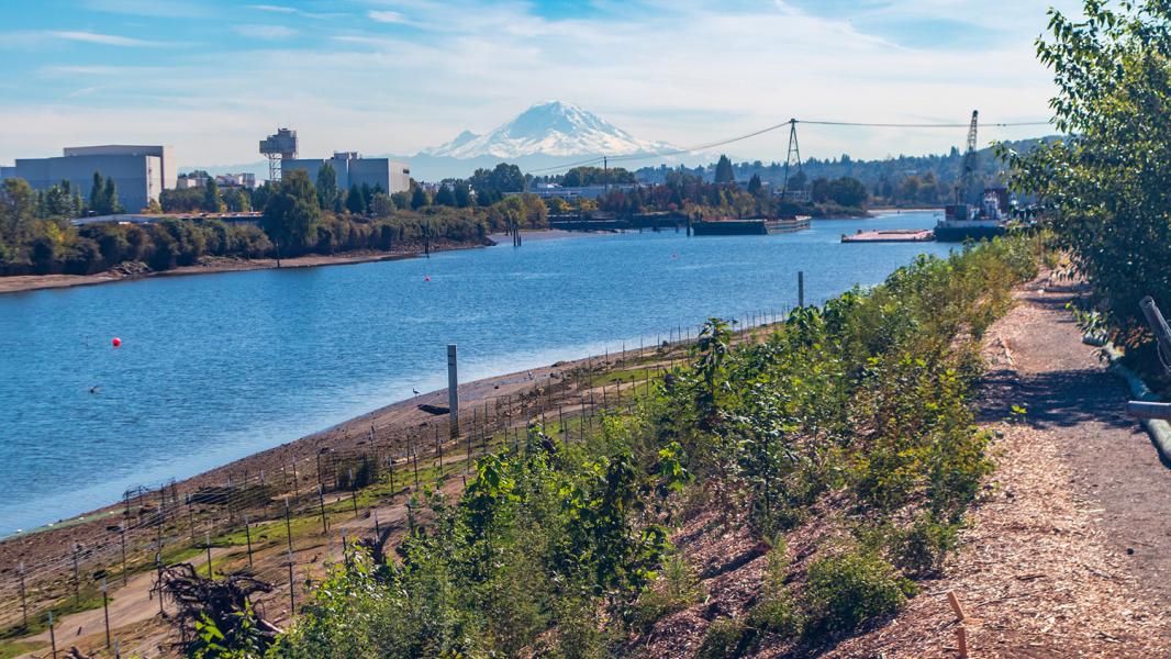 Duwamish River People's Park.