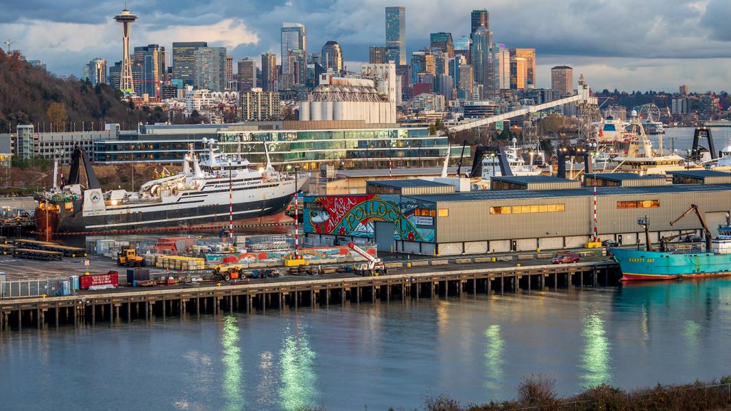 A Closer Look at Pier 91’s Newest View | Port of Seattle