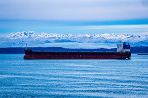 Large cargo ship sailing on calm blue water with snow-covered mountains in the distance.