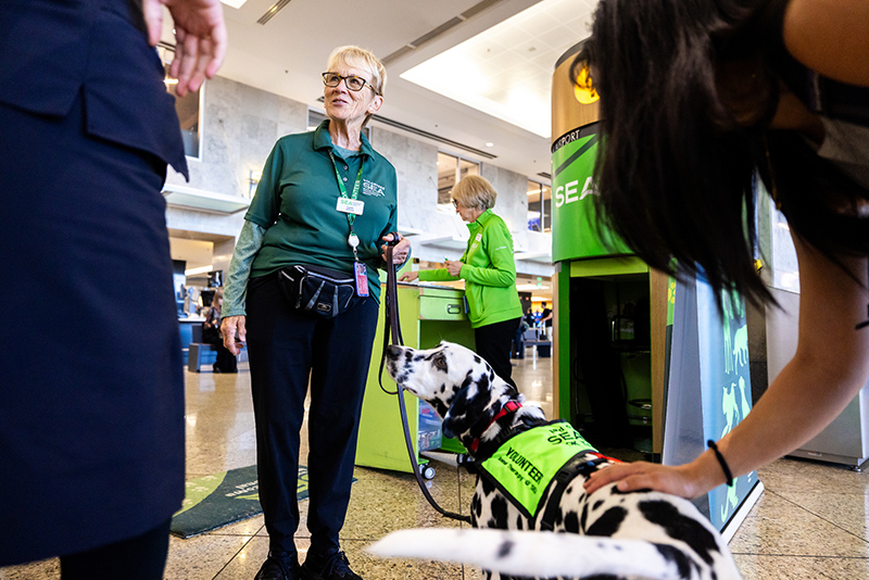 Person in a green volunteer uniform stands inside a busy indoor public space holding a leash attached to a spotted therapy dog wearing a bright green vest labeled ‘Volunteer.’ Another person reaches down to gently pet the dog, and a green information kiosk is visible in the background.