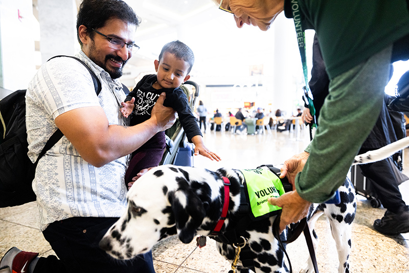 Person holding a small child kneels on the floor in a busy indoor public space while a spotted therapy dog wearing a bright green vest labeled ‘Volunteer’ stands nearby. Another person in a green uniform holds the dog’s leash and reaches toward the dog as the child extends a hand toward the dog.