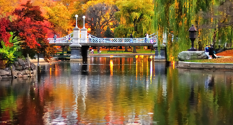 Boston Public Garden.