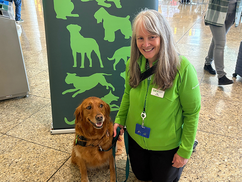 A person in a green SEA Airport shirt kneels beside a golden dog wearing a harness in an airport area with a display showing green dog silhouettes.