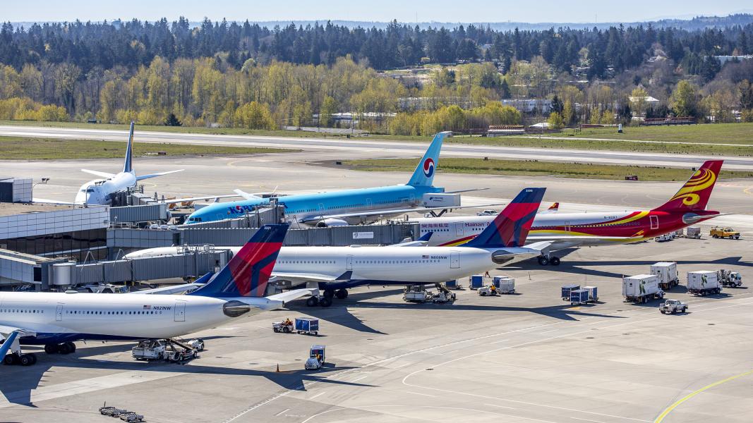 Multiple commercial airplanes parked at the S gates at Sea Airport, with jet bridges attached and ground service vehicles positioned nearby.