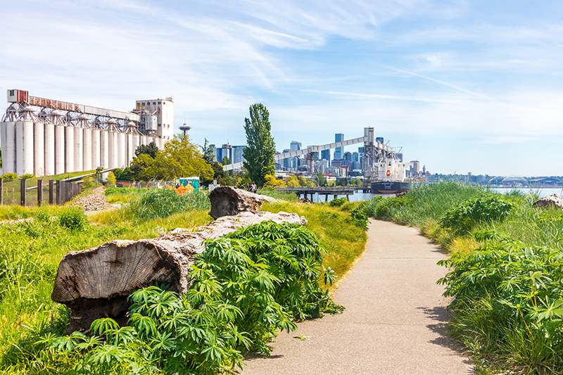 Paved path in Centennial Park lined with grasses and large driftwood pieces, with grain silos, a docked ship, and a city skyline visible in the background.
