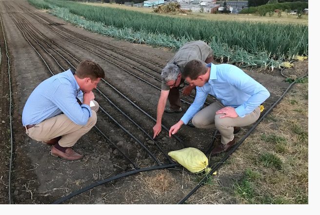 Commissioner Calkins, Port of Seattle Staff, and Washington State University Professor at organic farm research site.