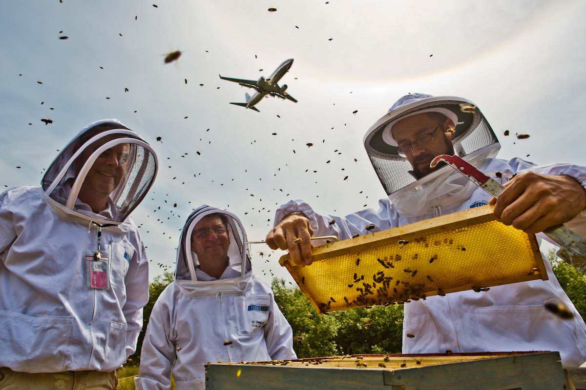 Hives and Jets.