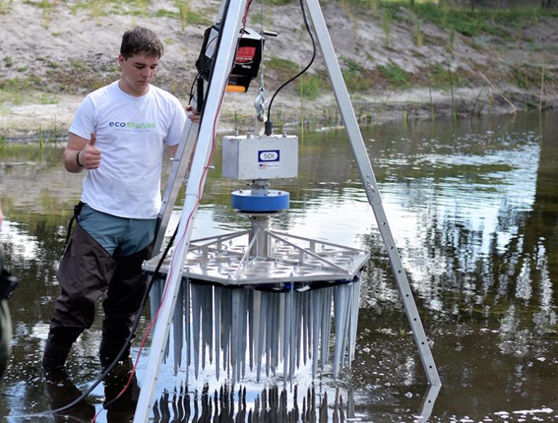 ecoSPEARS in action.