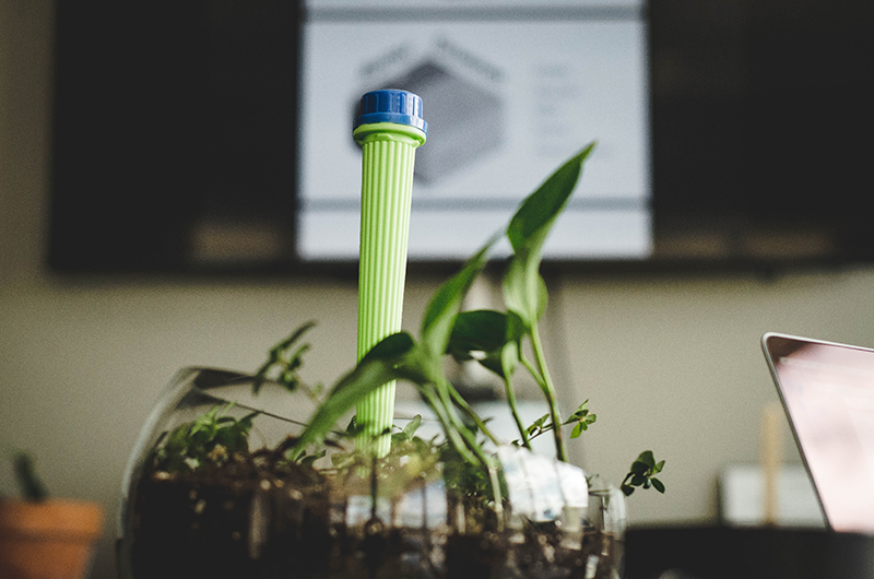 ecoSPEARS in a potted plant.