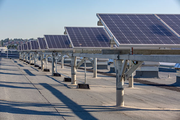 Solar Panels installed on a net shed roof at Fishermen's Terminal.