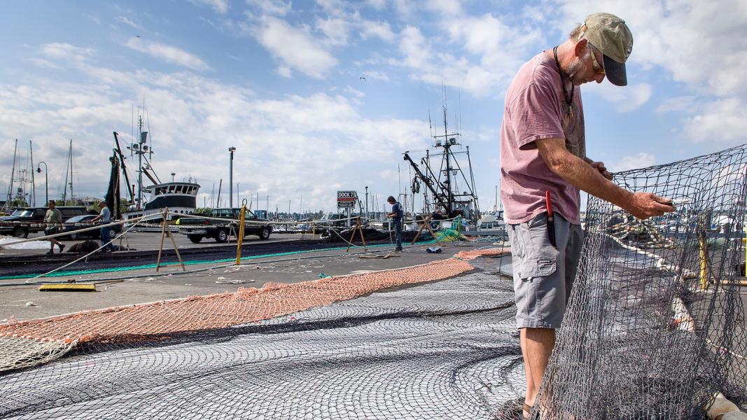 Fisherman with a fishing net at Fishermen's Terminal.