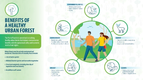 Benefits of a Health Urban Forest infographic