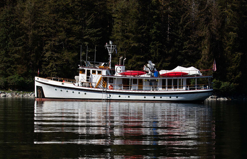 A white boat named “Gyrfalcon” is moored on calm water beside a forested shoreline, with red covers on the upper deck and various equipment visible along the cabin and railings.