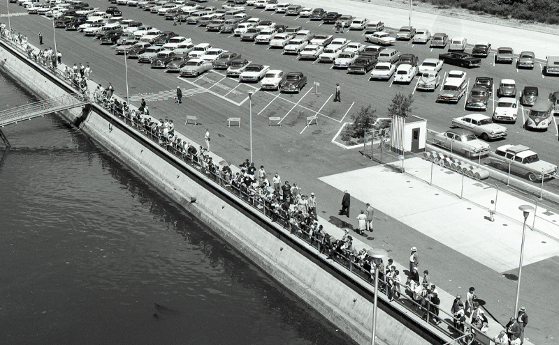 A long line of people extends along a waterfront pier beside a parking lot filled with rows of classic cars.