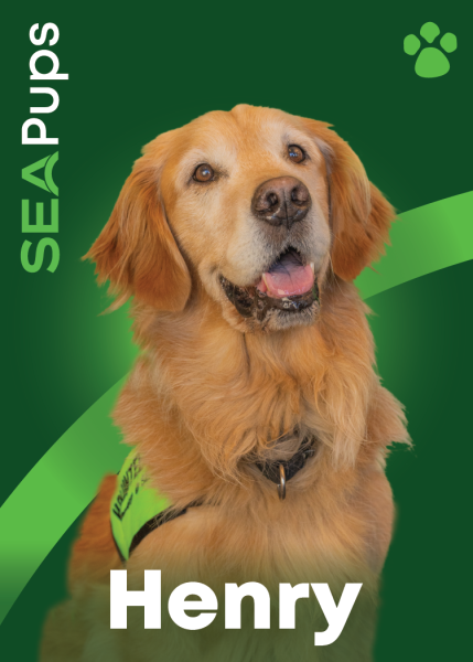 Henry the Golden Retriever digital card PDF.