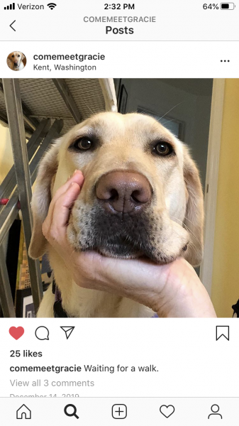 Gracie Instagram post.