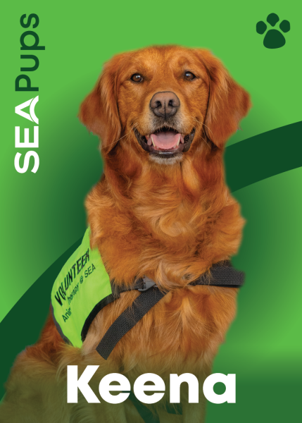 Keena the Golden Retriever digital card PDF.