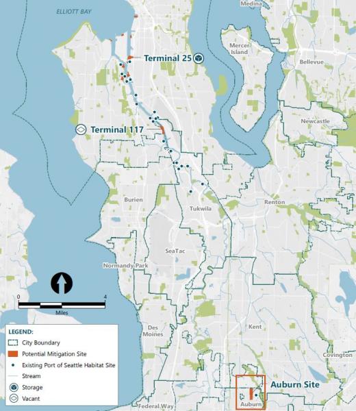 Map of Mitigation Bank Project Sites along the Duwamish.