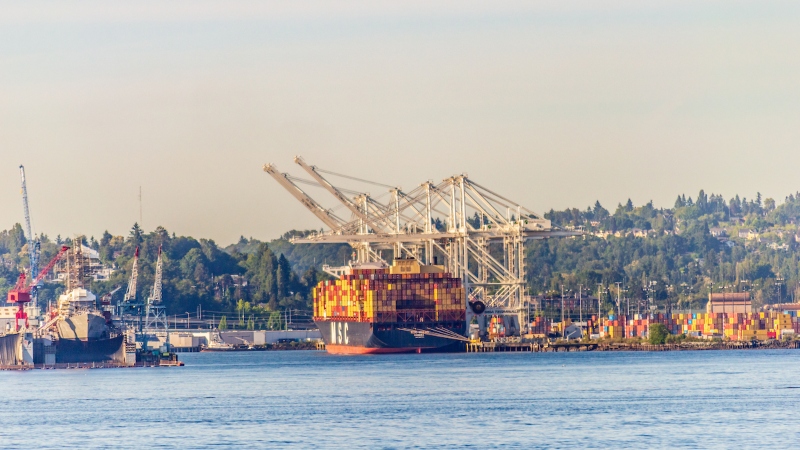 The container ship MSC Virgo is docked at a port, stacked with multicolored cargo containers beside large cranes.