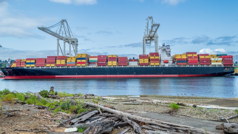 The container ship MSC Conti Makalu sits at a port, loaded with stacked cargo containers beside two large cranes.