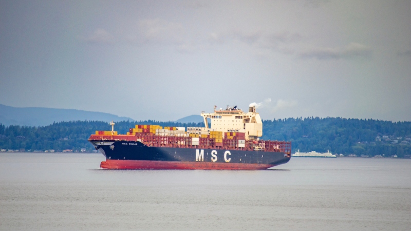MSC cargo ship