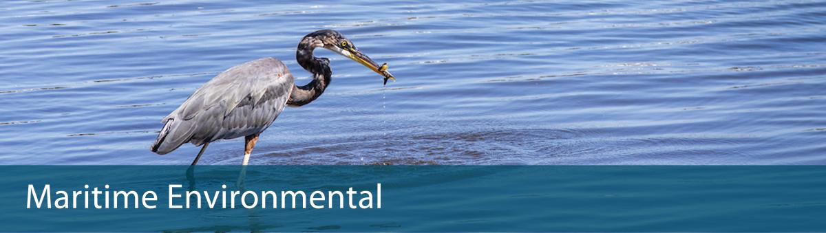 Maritime environmental initiatives.