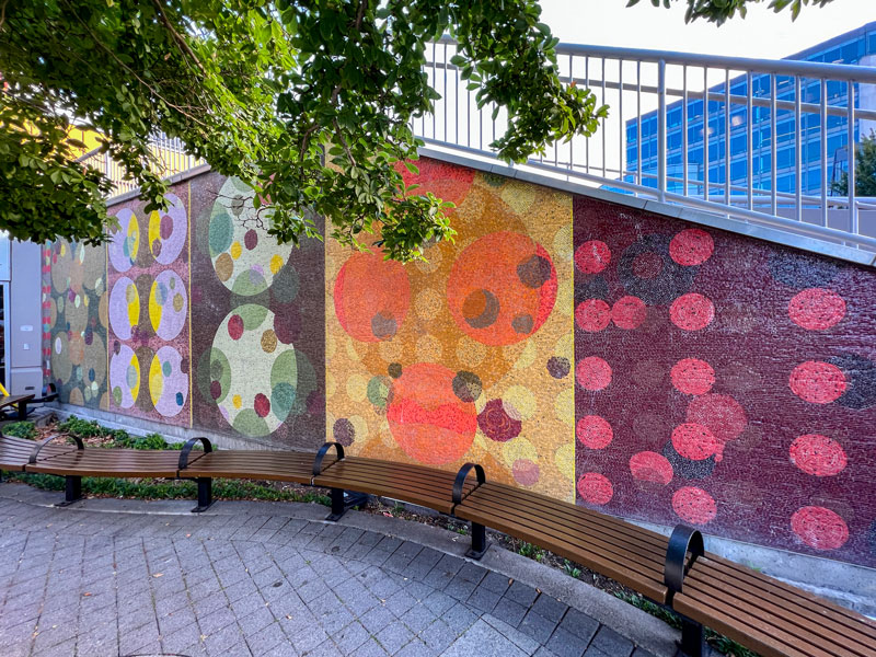 A colorful mosaic mural of overlapping circles covers a sloped wall beside curved wooden benches and shaded by tree branches.