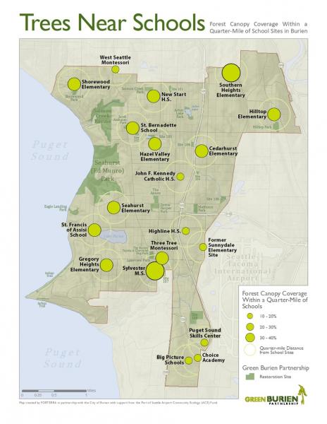 Map: Forest canopy coerage within a quarter mile of the school sites in Burien.