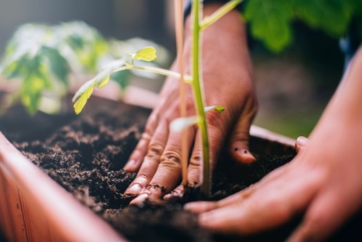 Environmental Improvements Program&nbsp;