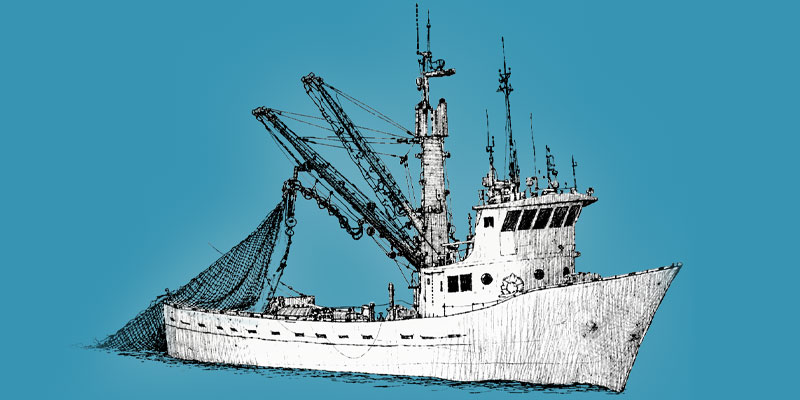 Illustration of a purse seiner fishing vessel with raised boom arms and a large net hanging off the side.