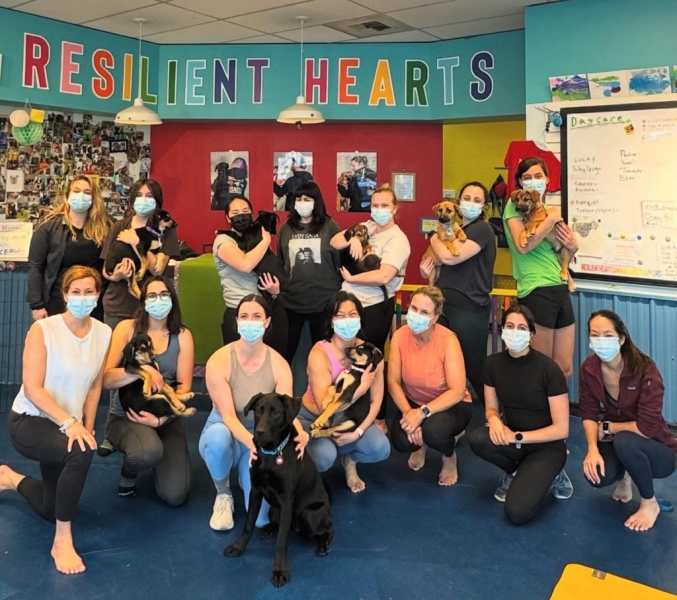 A group of people wearing masks hold several small dogs inside a brightly colored room with a ‘Resilient Hearts’ sign overhead and a whiteboard on the wall.