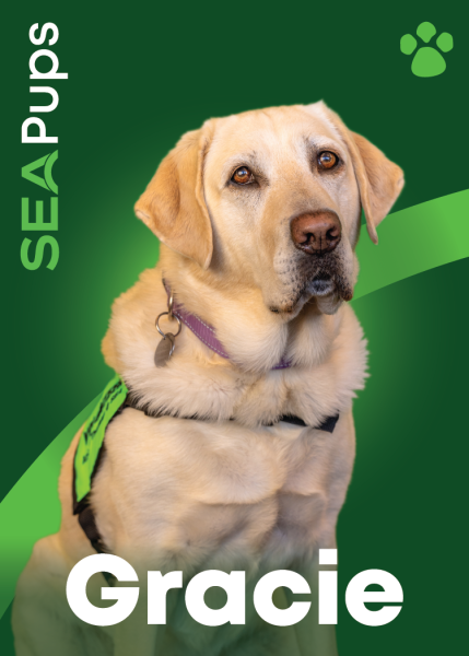 Gracie the Yellow Labrador Retriever digital card PDF.