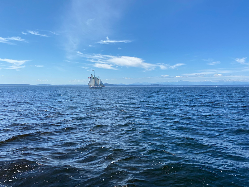 The Bay Lady sailboat appears in the distance on open water under a clear blue sky.