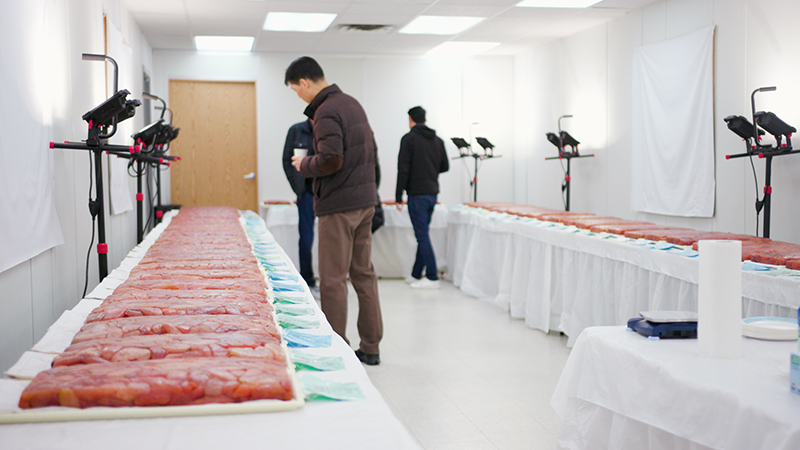 People examining long tables covered with rows of raw fish fillets in a bright processing room.