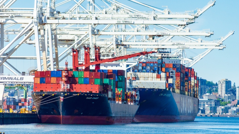 The container ships Nadi Chief and MSC CGM Cassiopeia are docked at a port beneath large white cranes.