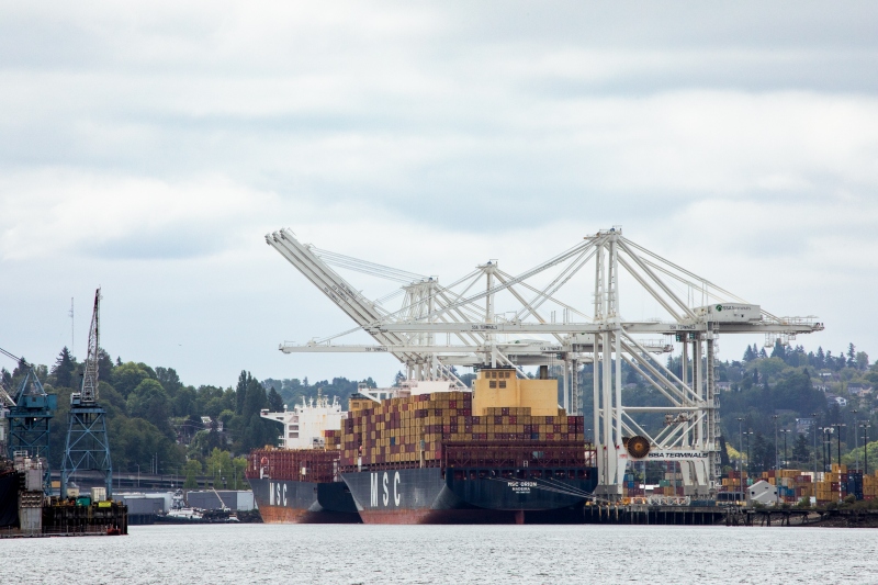 The container ship MSC Orion is docked at a port, loaded with stacked cargo containers beneath large white cranes.