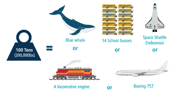 Graphic illustrating what the cranes can life: a whale, an airplane, a locomotive engine.