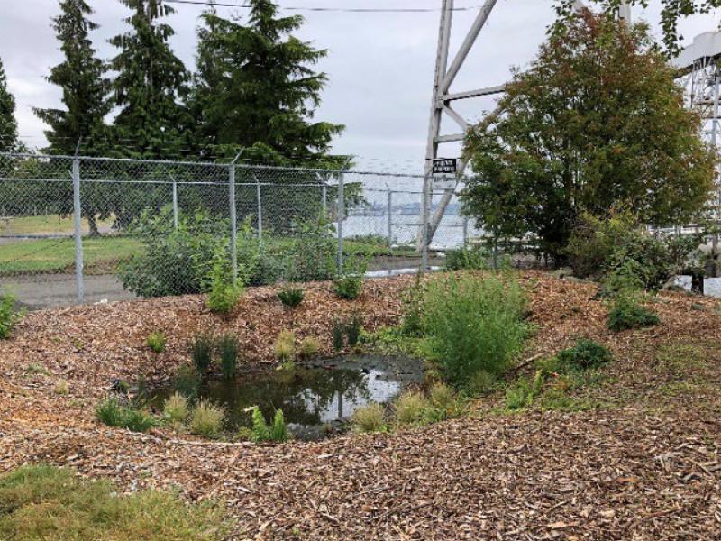 Rain Garden infographic (PDF).