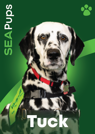 Tuck the Dalmatian digital card PDF.