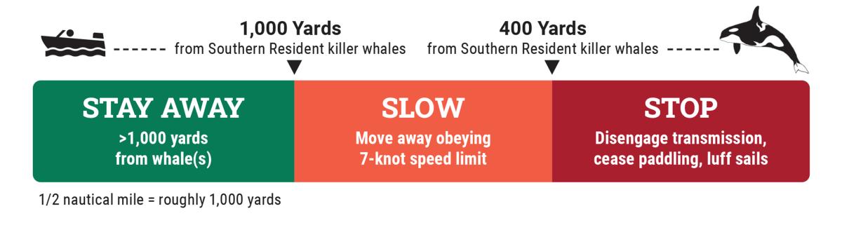 Boating rules: stay over 1,000 yards away, slow between 400–1,000 yards, and stop within 400 yards of Southern Resident killer whales.