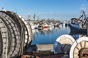 Harbor scene with numerous fishing boats docked closely together, with commercial fishing gear and coiled nets in the foreground.
