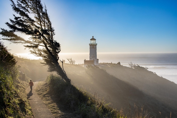A person walks along a coastal trail toward a lighthouse, with windswept trees and sunlight over the ocean.