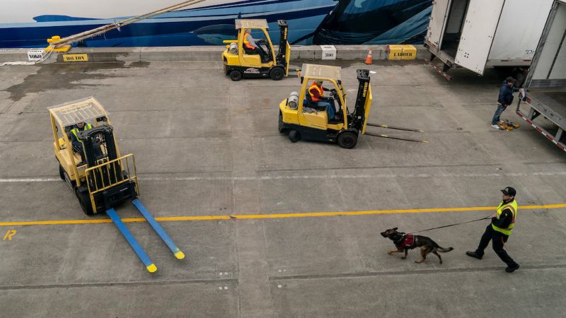 Three forklifts operate on a dockside lot while a security worker walks a detection dog nearby.
